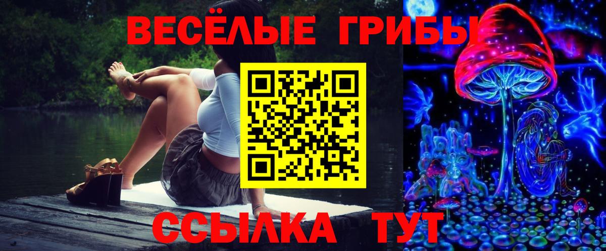 Долгопрудный  сколько стоит  Вход с VPN  Галлюциногенные грибы мицелий 